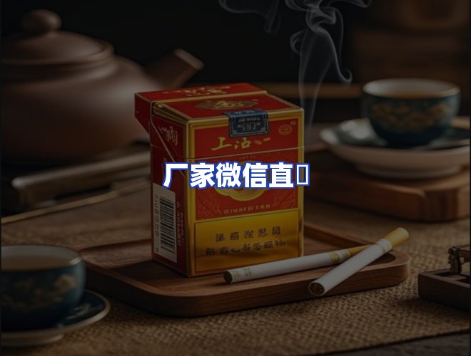 专业团队